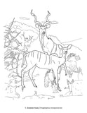 African Mammals - Coloring Book