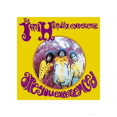 Jimi Hendrix Experience Are You Experienced - 15x15 - album cover poster