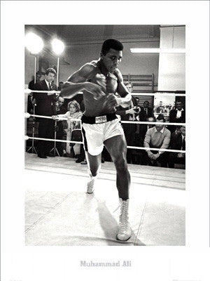 Muhammad Ali Shadow Boxing - 31x23 - print - Anon