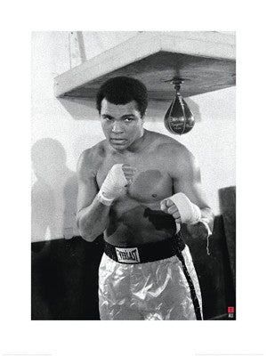 Muhammad Ali Speedbag - 32x24 - print - Anon