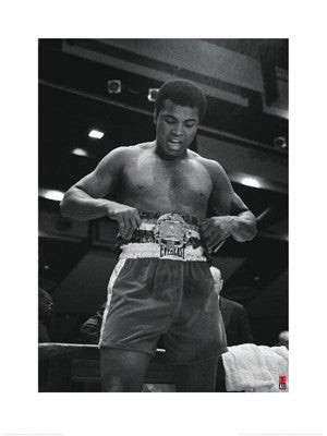 Muhammad Ali Championship Belt - 32x24 - print - Anon