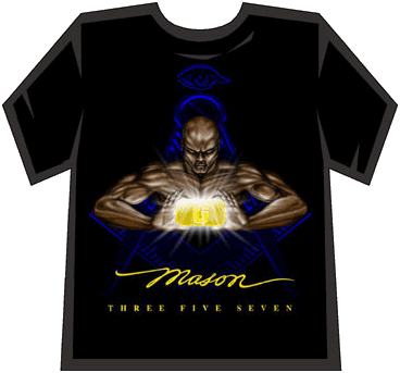 Mason t-shirt - Shine